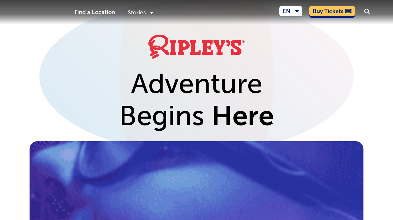 Programma di Affiliazione Ripley's
