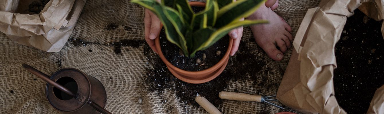 Perché utilizzare il marketing di affiliazione per Casa & Giardino