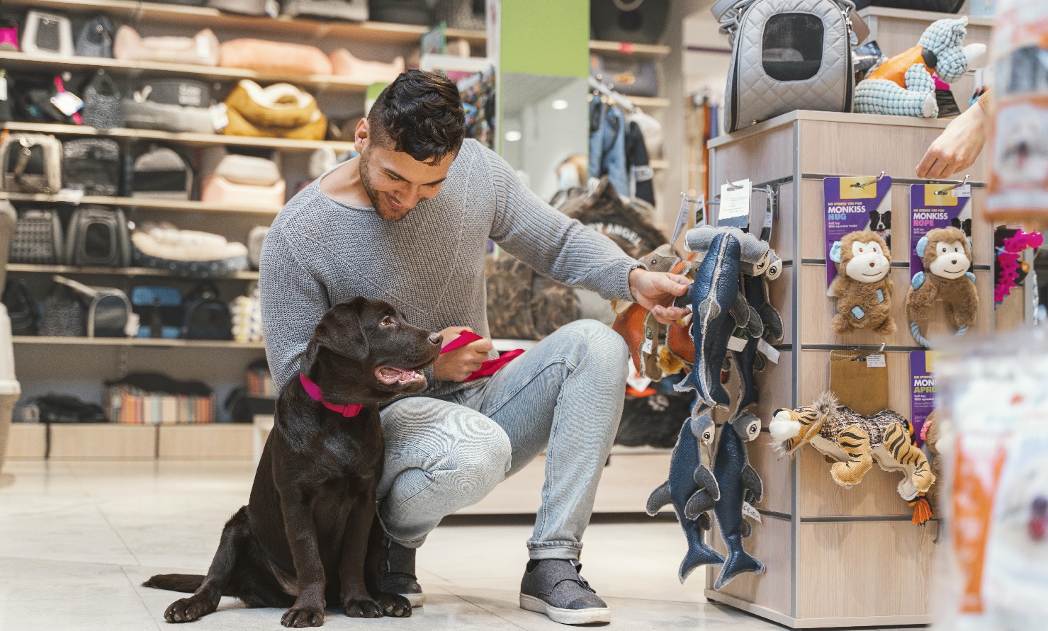 I 20 migliori programmi di affiliazione per animali domestici del 2025