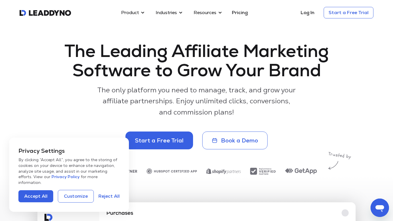 Dashboard di gestione programma affiliati LeadDyno