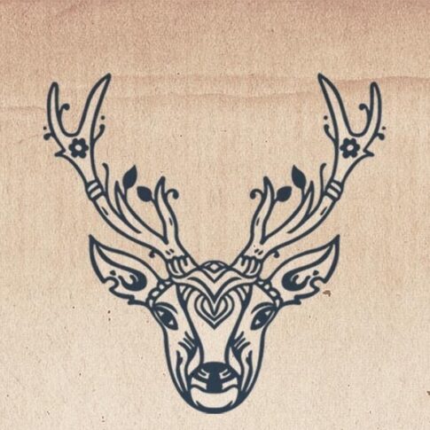 Contatto Dipartimento Affiliazioni Heilkraft