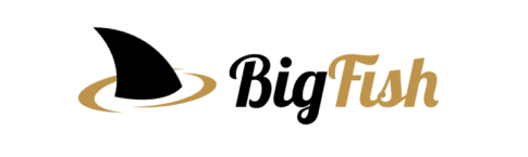 Contatto Dipartimento Affiliati Bigfish Partners - Affiliate Manager