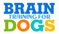 Contatto Dipartimento Affiliati Brain Training For Dogs
