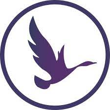 Contatto Dipartimento Affiliazioni OdinSchool