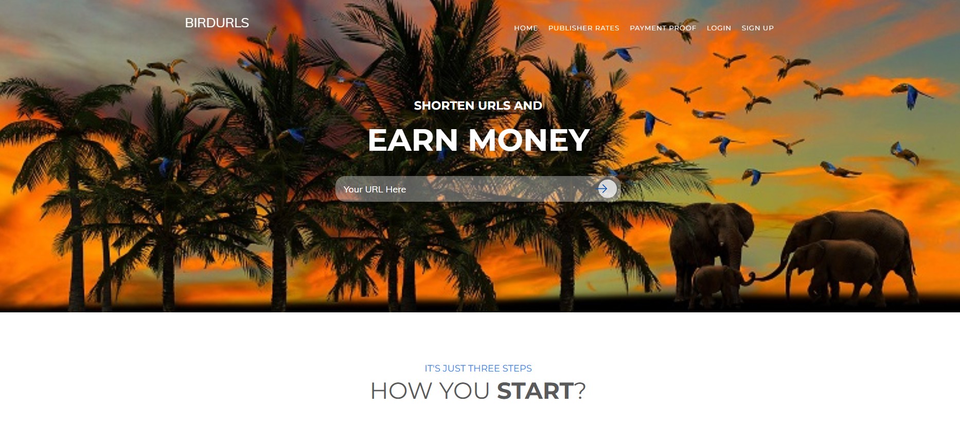 Programma di Affiliazione BirdUrls