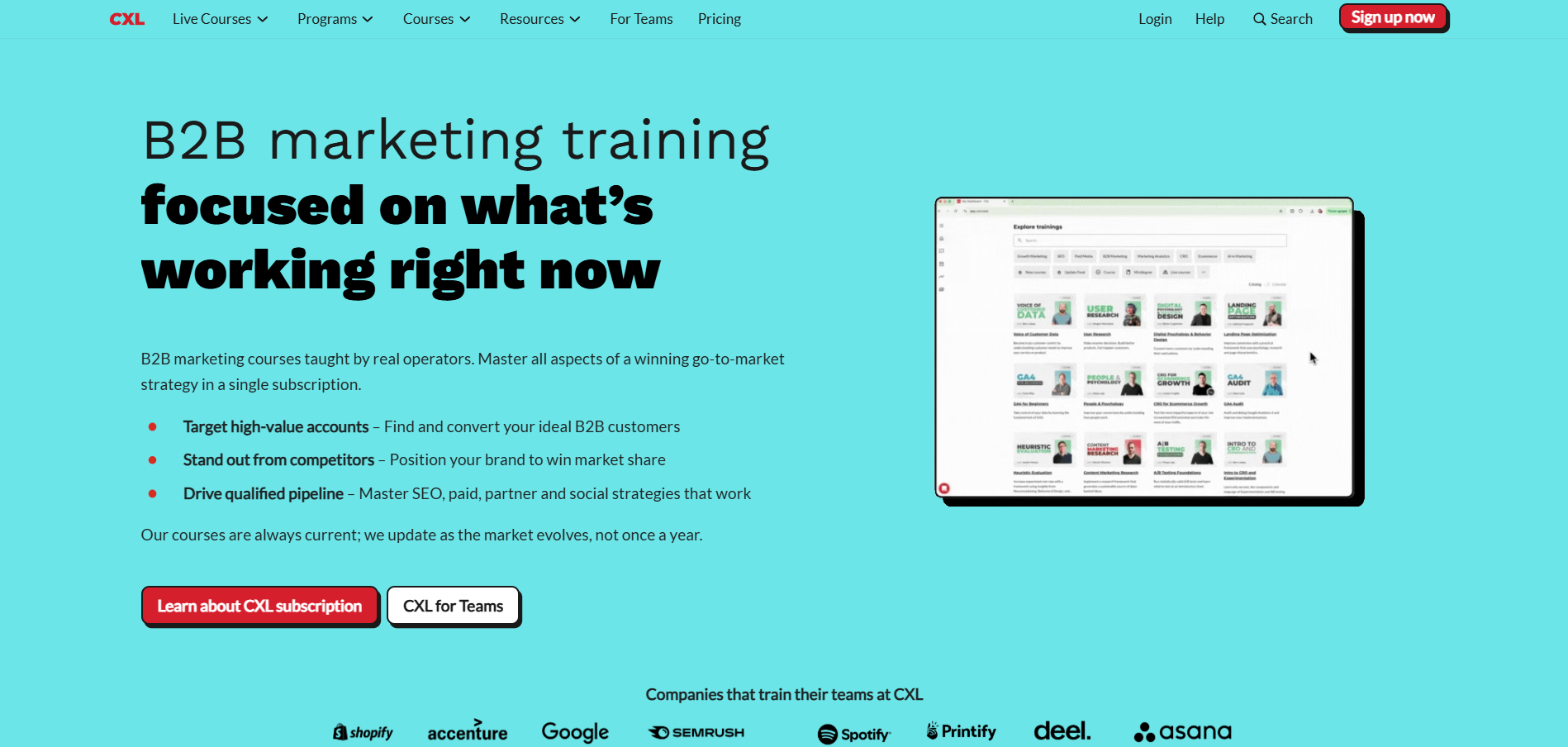 Programma di Affiliazione CXL