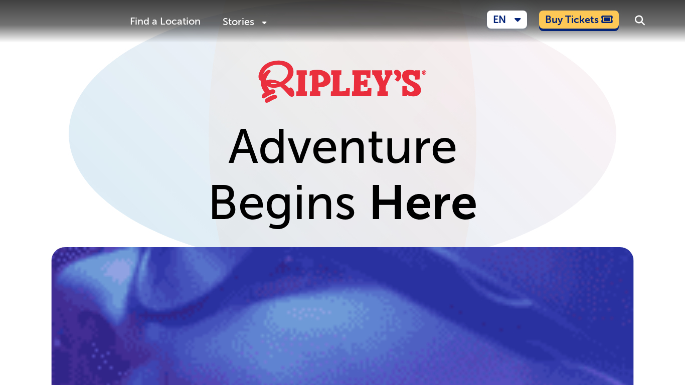 Programma di Affiliazione Ripley's