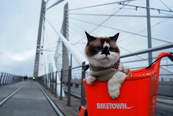 Modi per recuperare i carrelli abbandonati