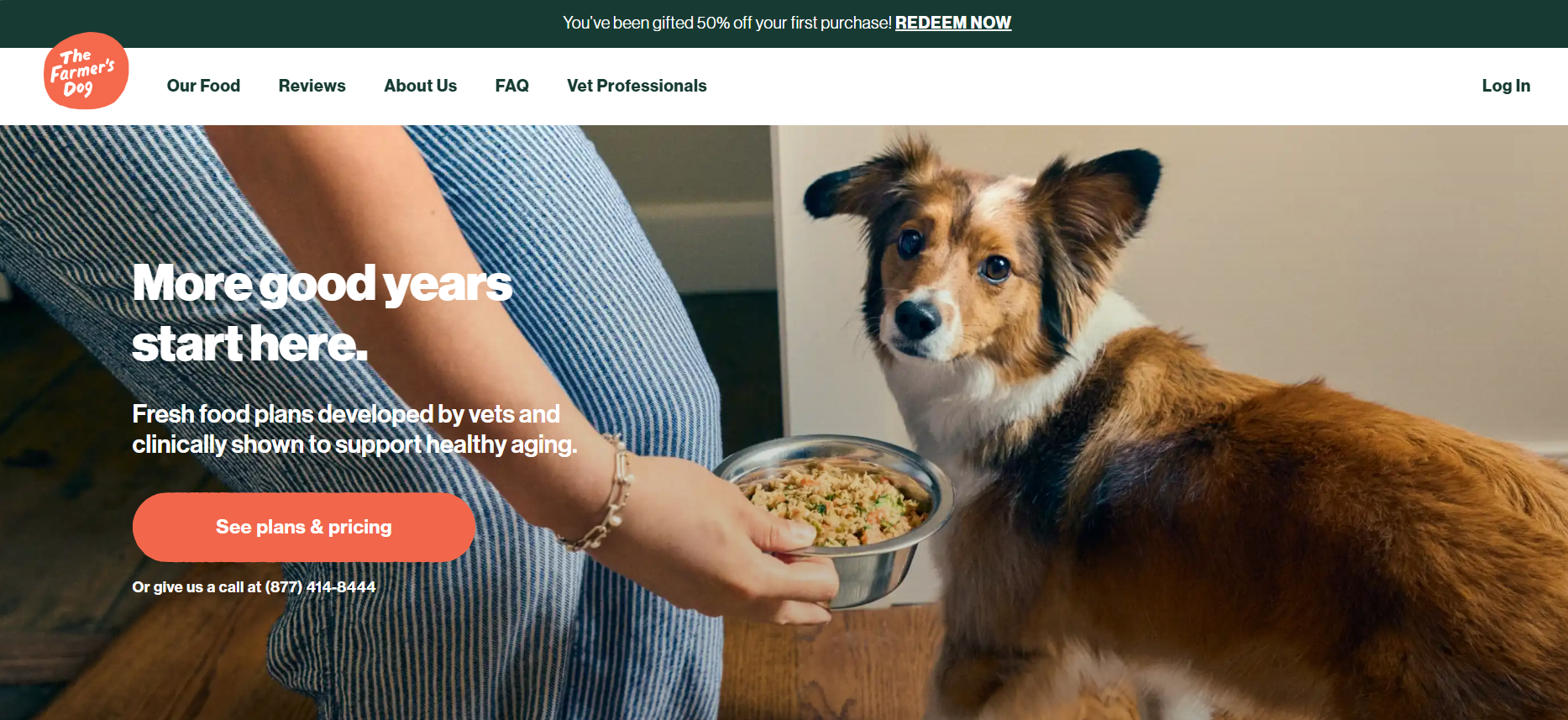 Screenshot del sito web Rover